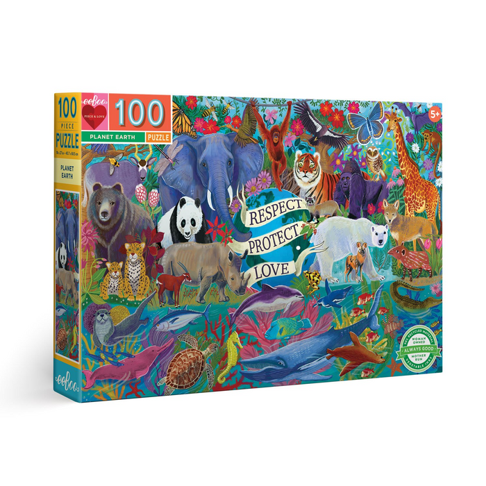 Planet Earth 100pc Puzzle, by eeBoo